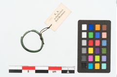 Foto von Bronzering (NHMW-PRAE-026333)